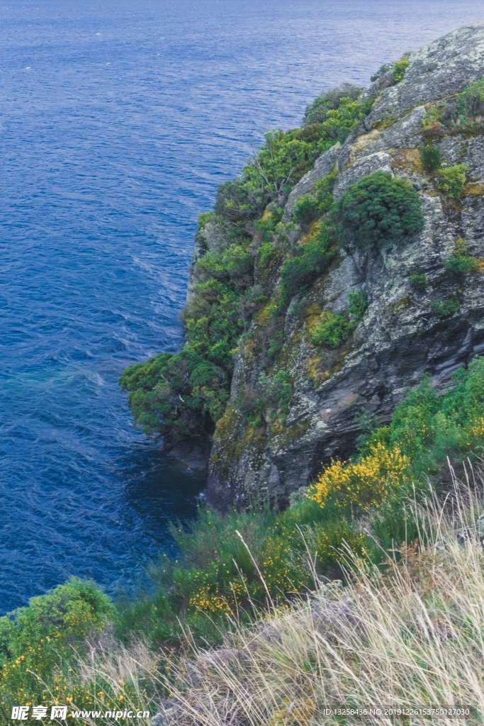 大海悬崖树木风景