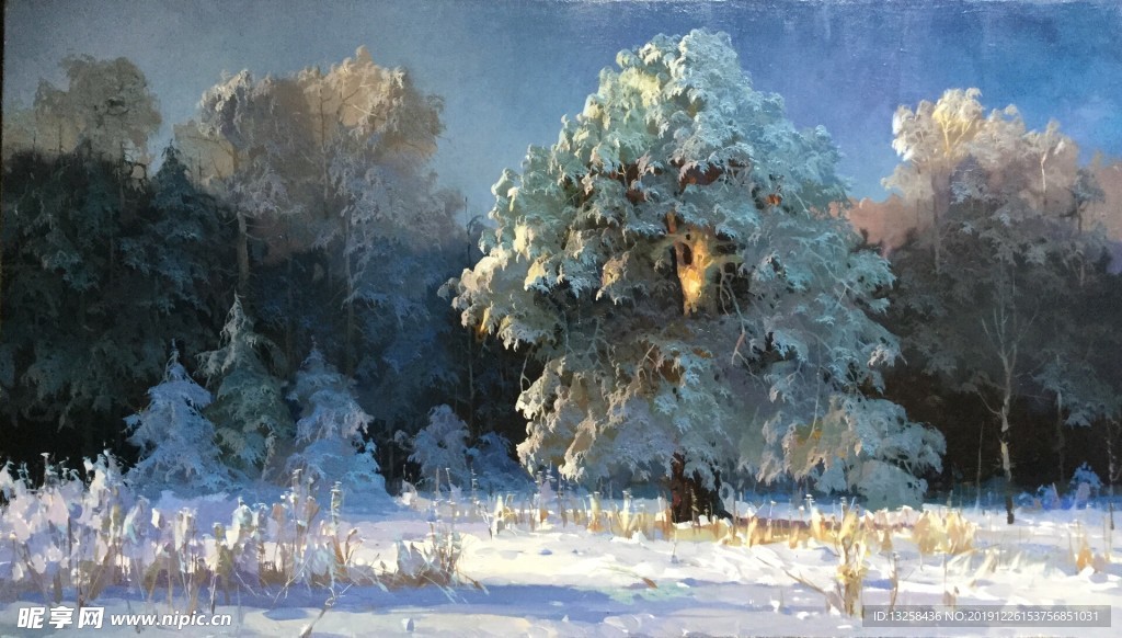 森林树木雪地风景插画