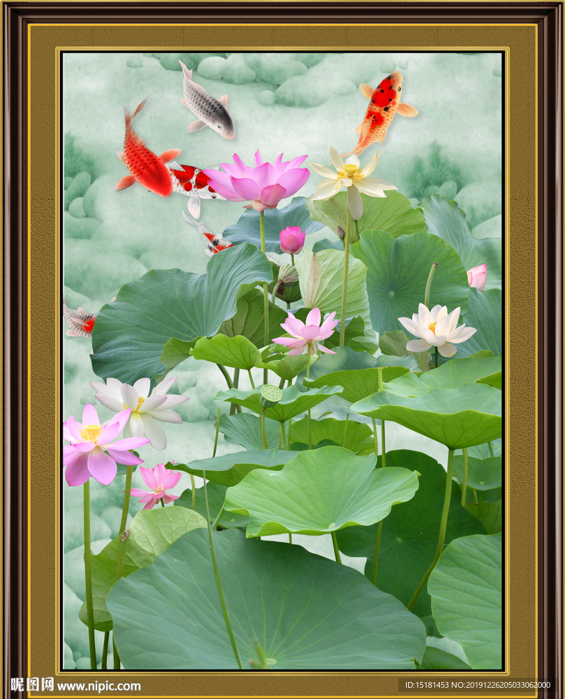 荷花