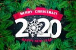 2020年
