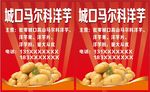 城口马尔科洋芋
