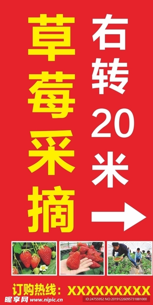 草莓采摘