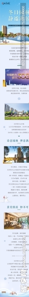 微推  长图
