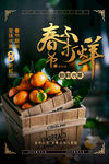 春节促销