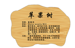 树牌