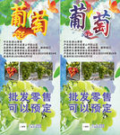 葡萄海报