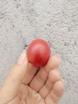 农家圣女果