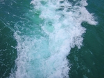 海洋