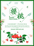 樱桃
