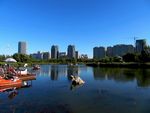 哈尔滨丁香公园风景