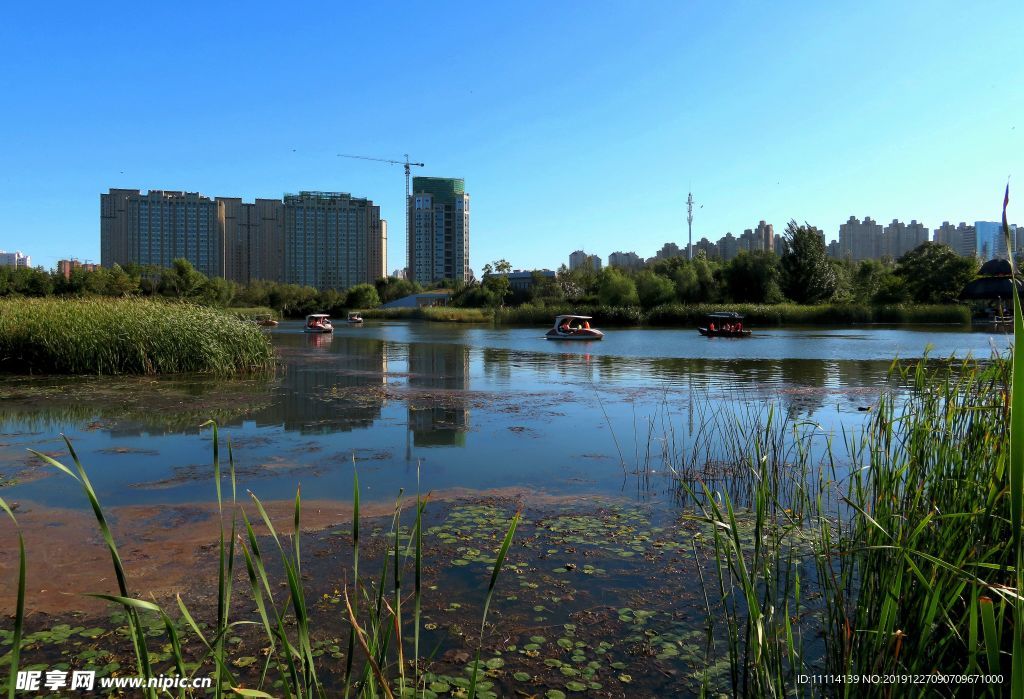 哈尔滨丁香公园风景