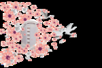 花鸽子 合成