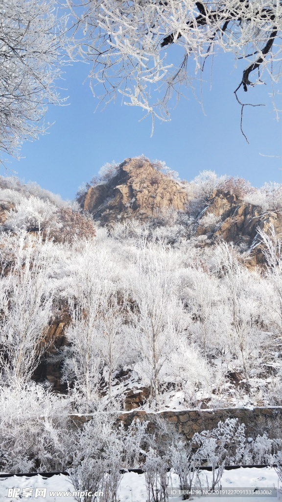 吉林雾凇雪景