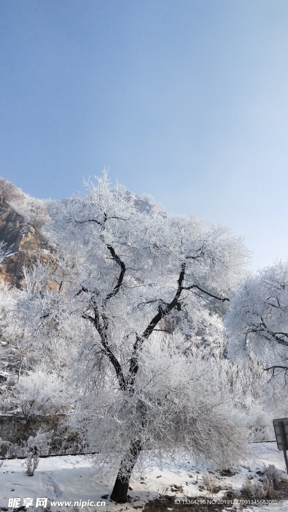 吉林雾凇雪景