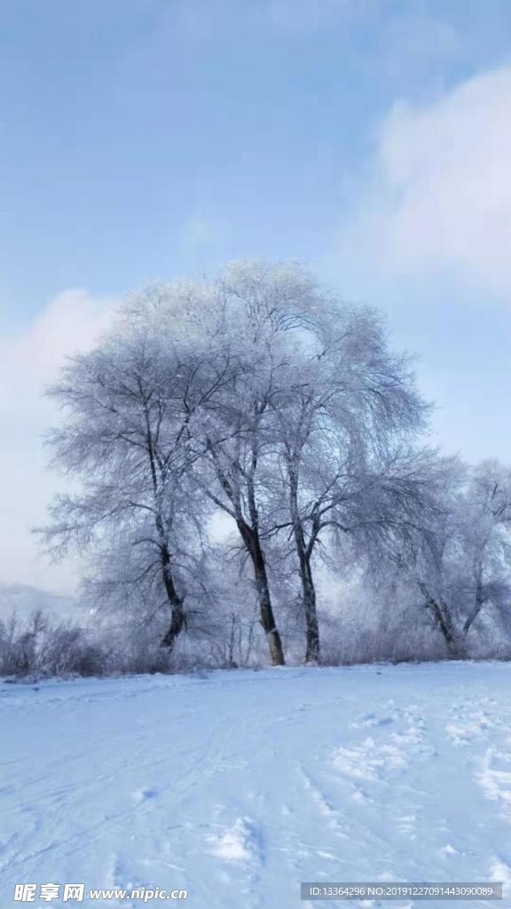 吉林雪景