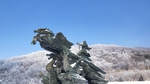 大禹