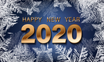 2020年