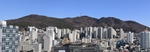 城市建筑