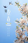 立春