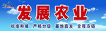 发展农业