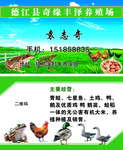 养殖名片