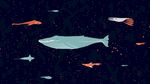 星空大鱼