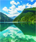 山