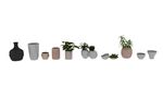 植物盆栽3d模型集合