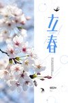 立春