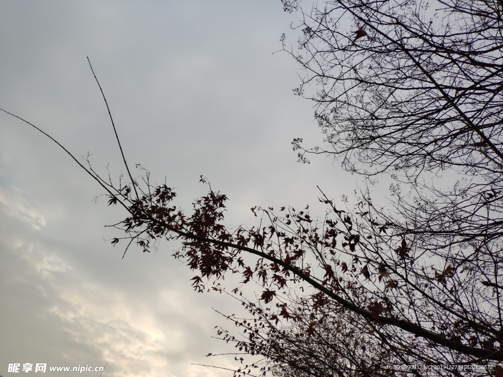 天空