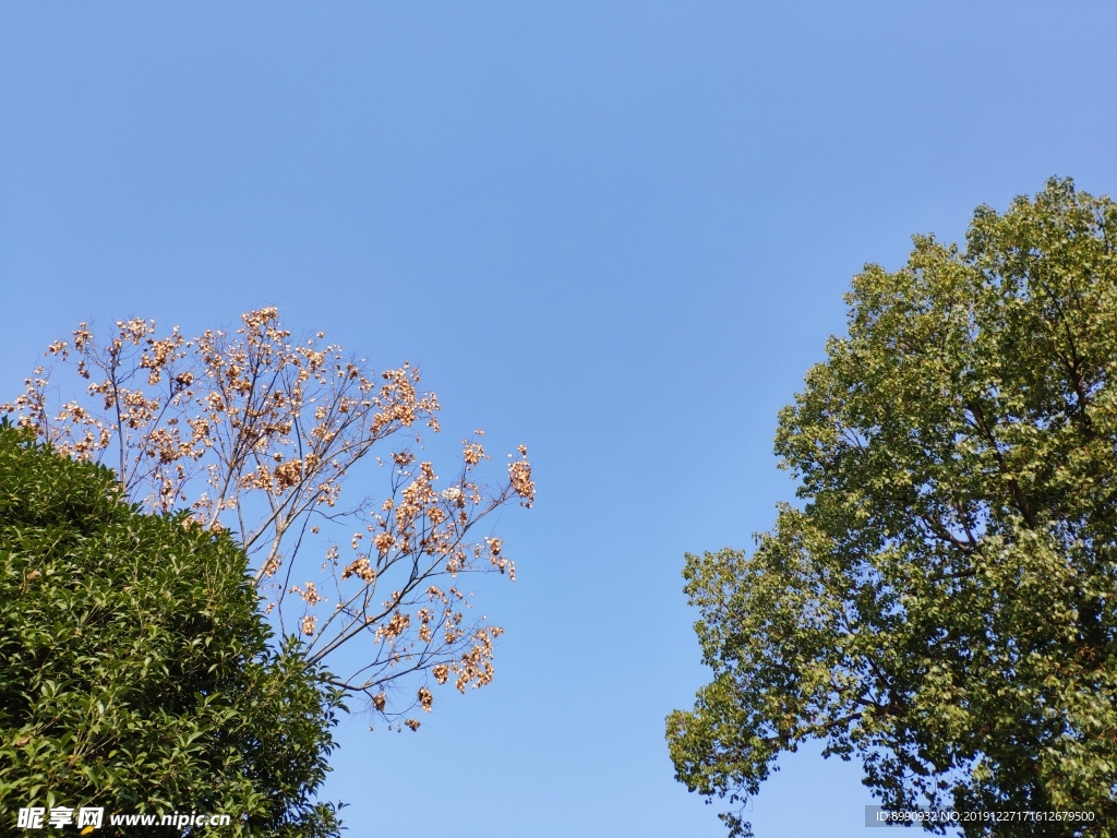 蓝天