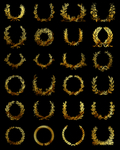 金色麦穗