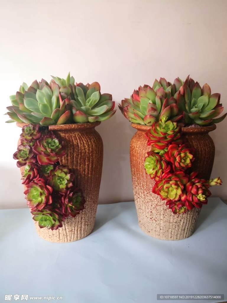 花卉