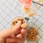 干果食品