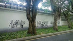 自然景观