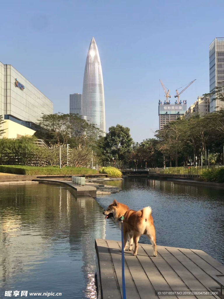 城市景观