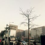 自然景观