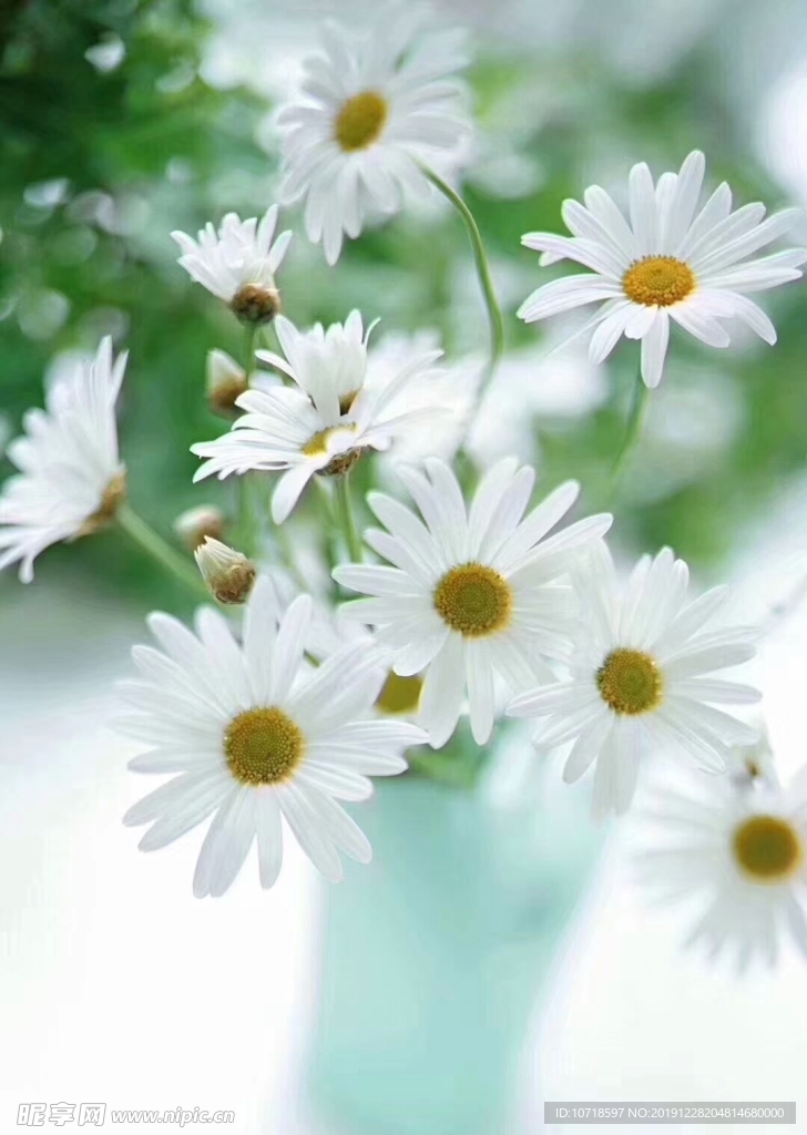 白花