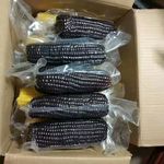 玉米棒棒