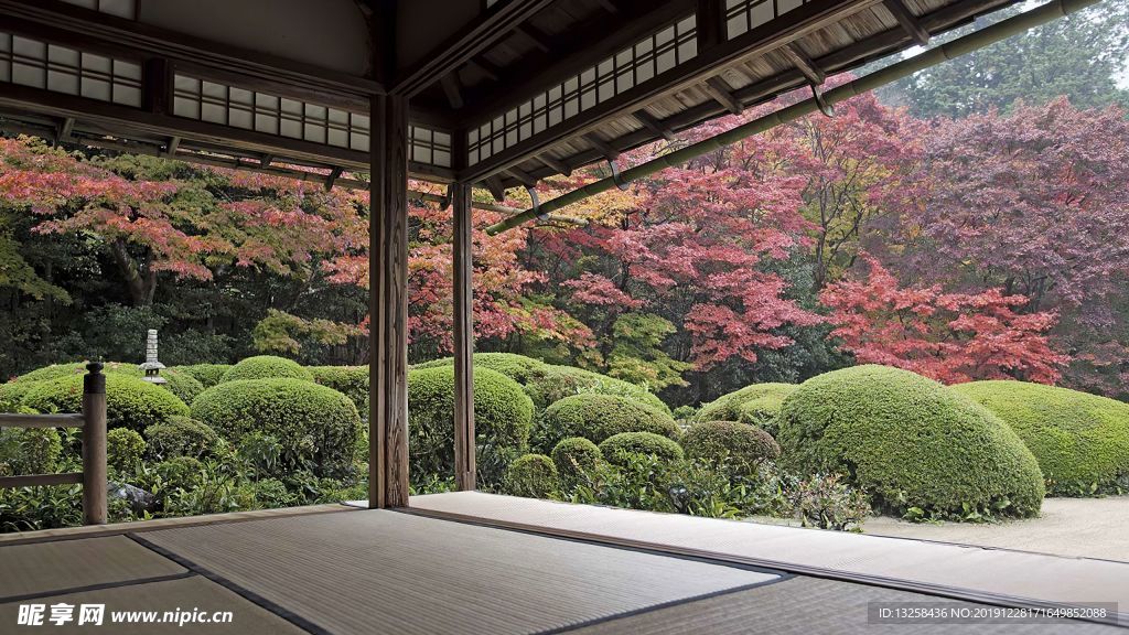 园林凉亭植物建筑背景