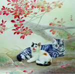 憧憬