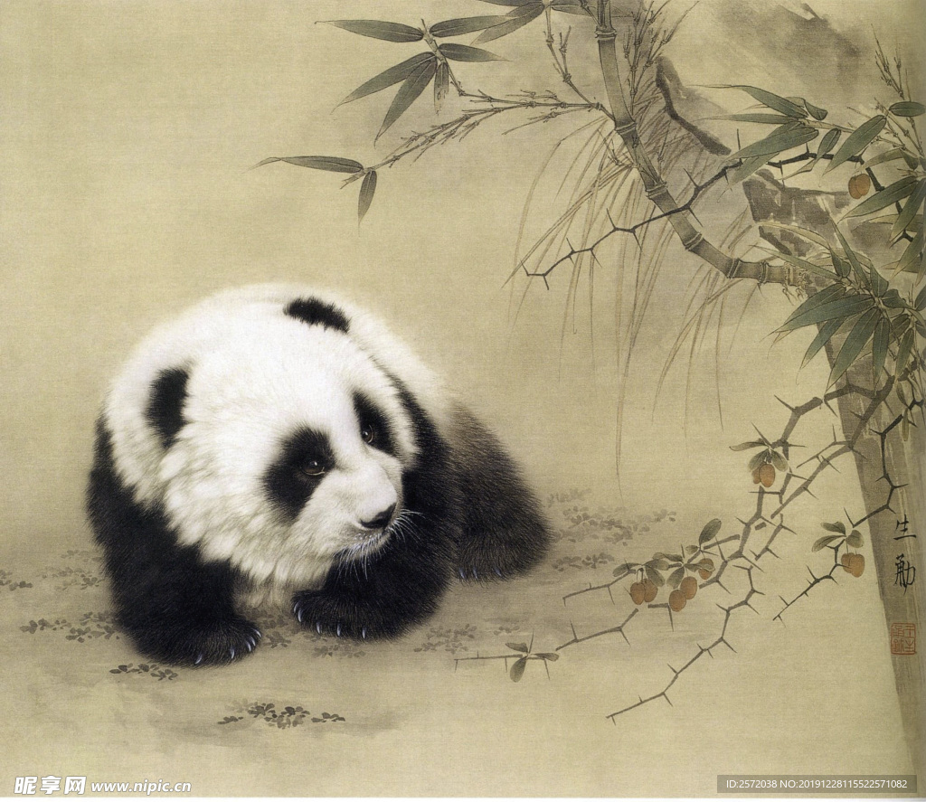 可爱的熊猫