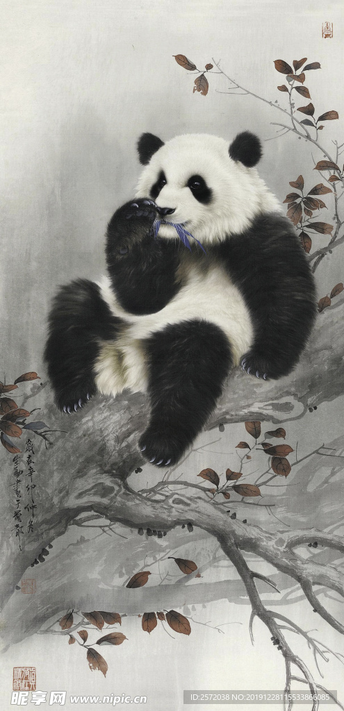 可爱的熊猫