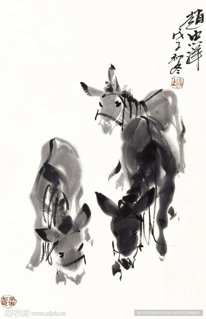 毛驴图