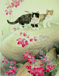 岩石上的猫咪