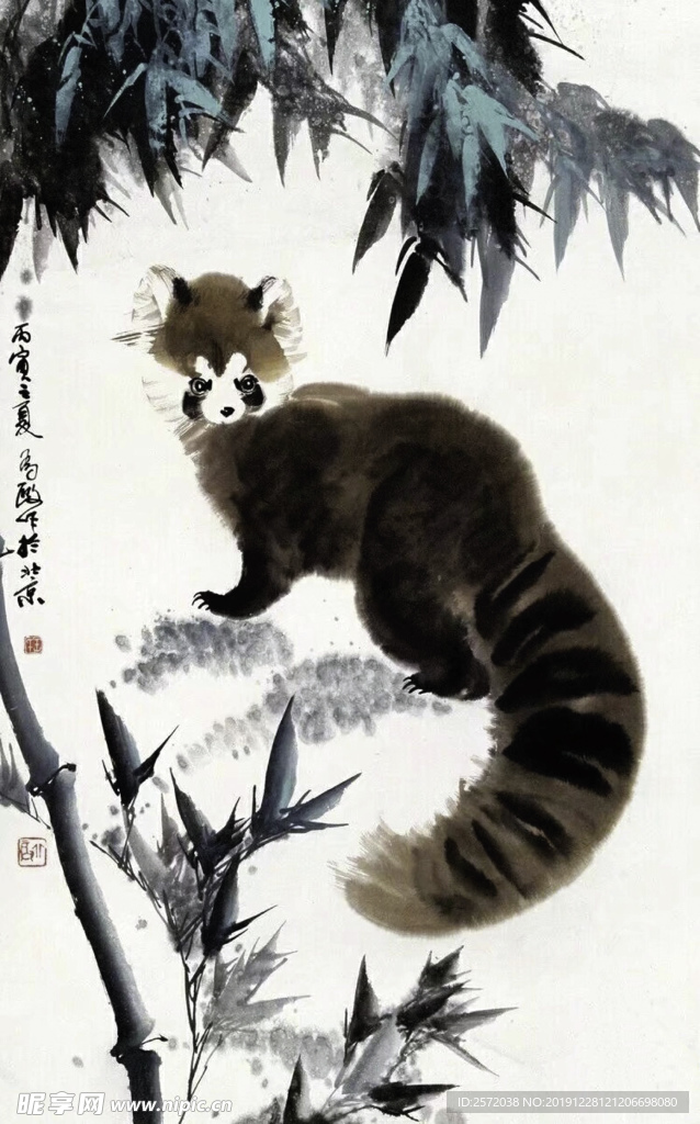 竹下狸猫