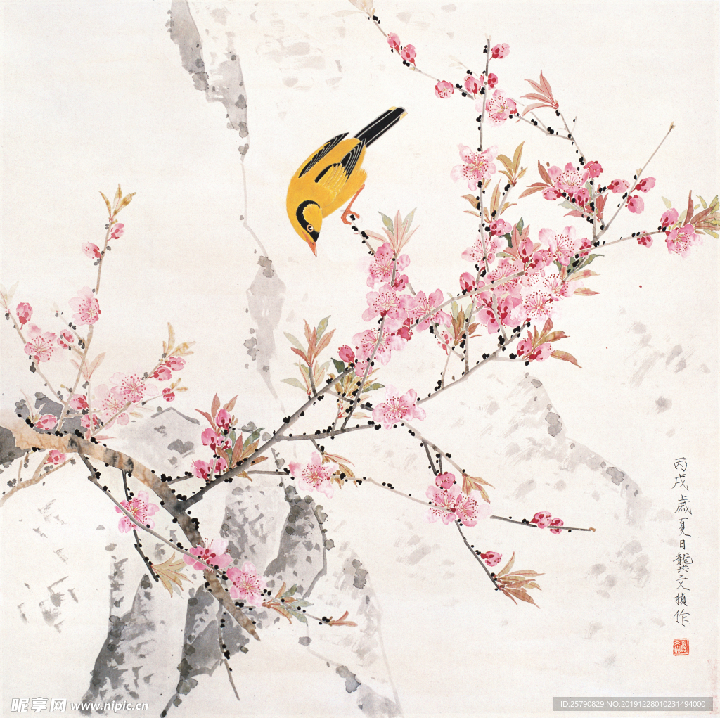 花鸟