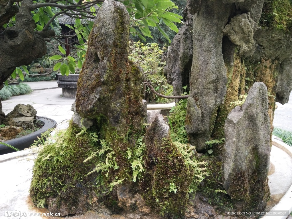 石头假山 石头肌理 纹理 盆景