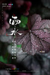 雨水