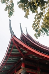 飞檐